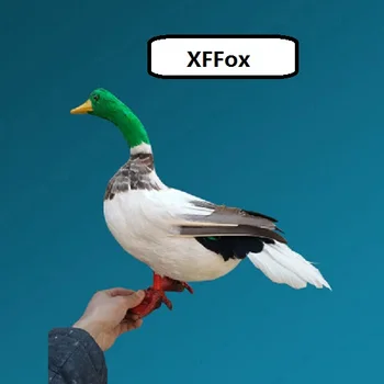 didelis modeliavimas žalia galva antis modelis putų&kailiai, realiame gyvenime antis paukštis modelis dovana, apie 50cm xf1058